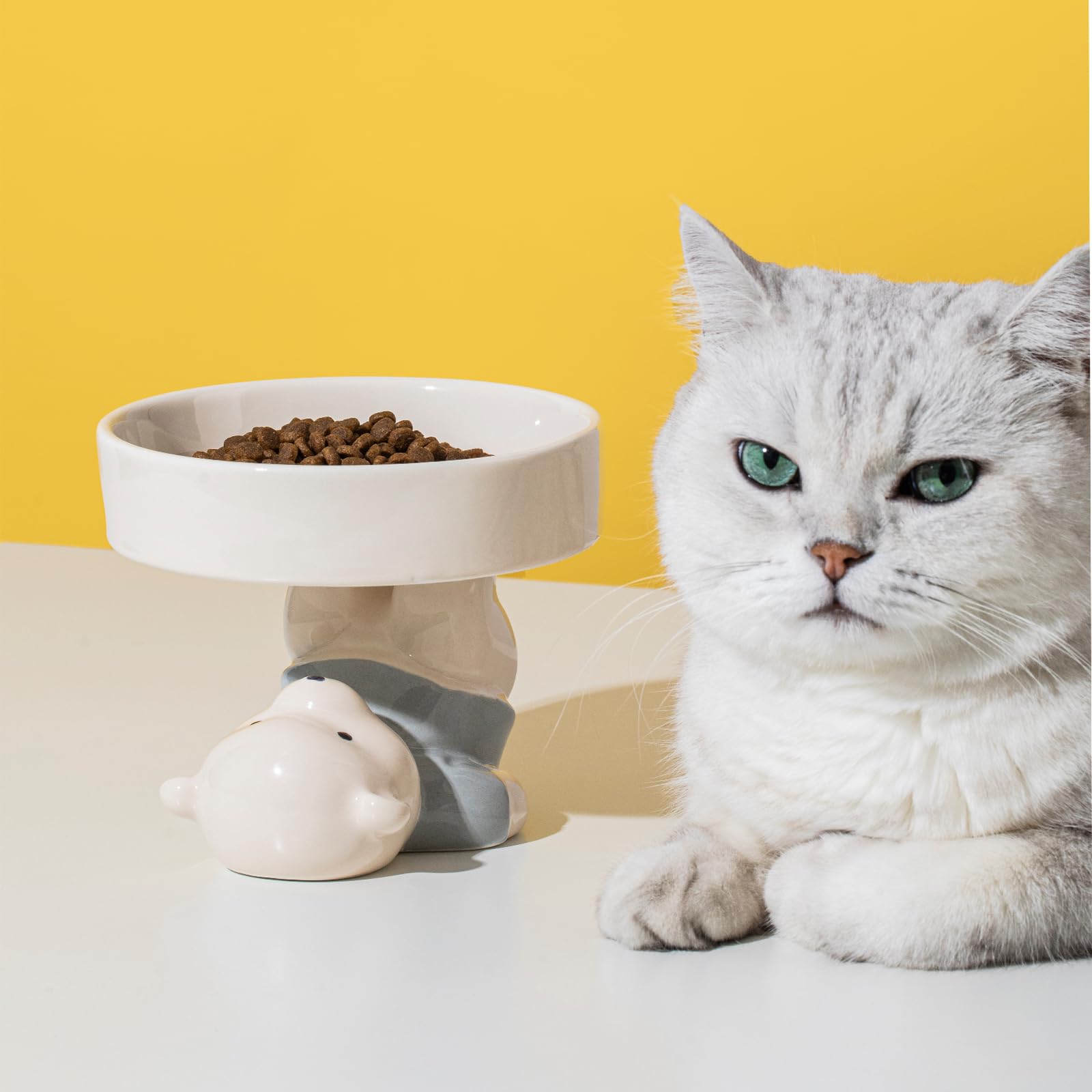 Cat Bowl Stand Only Ceramic Elevated Cat Bowl Raised Cat Bowl Food