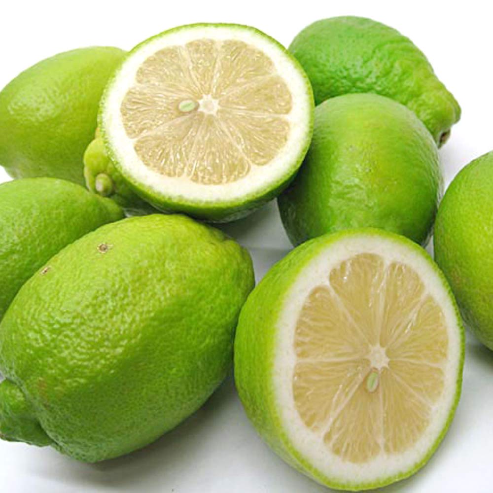 lemon商品です♪ Amazon.co.jp: [Leather: Yellow] Shizuoka Lemon, Excellent Product