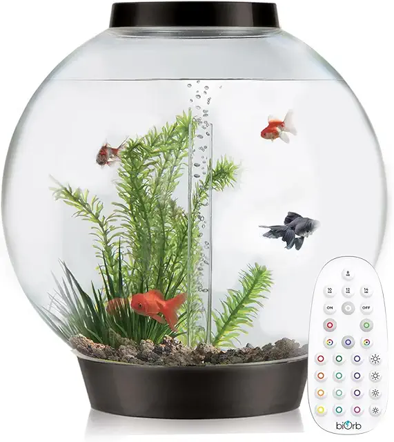 biOrb Classic 105L Black Cylinder Aquarium with LED Lighting