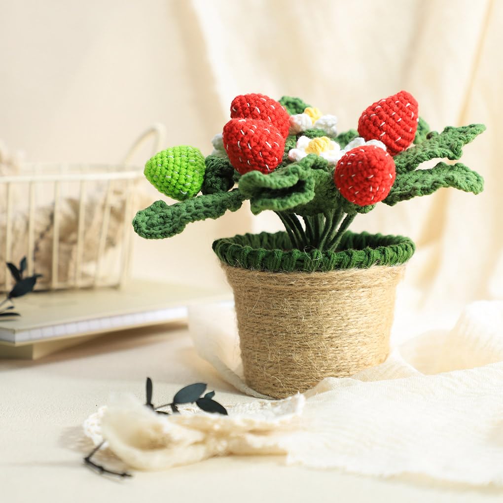 sansevieria samurai Sansevieria Samurai - Buy Online