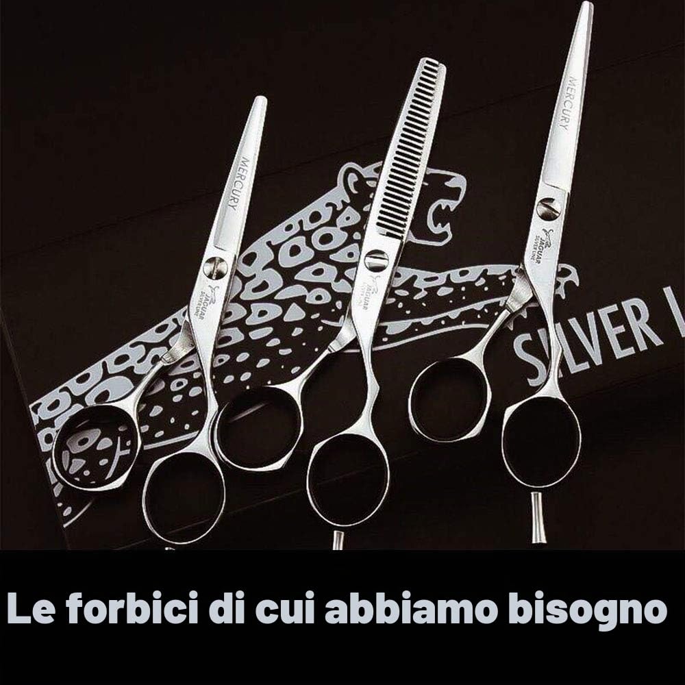Jaguar, forbici Silver Ice