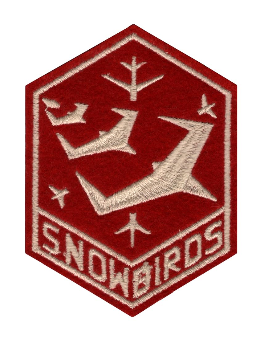 GenericSnow Birds Applique Embroidered Sew-on Patch ; Size: 10cm x 7.3cm for Jackets, Caps, T-Shirts, Bags, Jeans, Pants, Outdoor Clothing ; Imported from Malaysia (1 Piece). (Code: S-72)