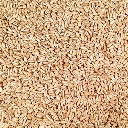 Grain Place Foods Avena en Grano Tostada Orgánica 25 lb
