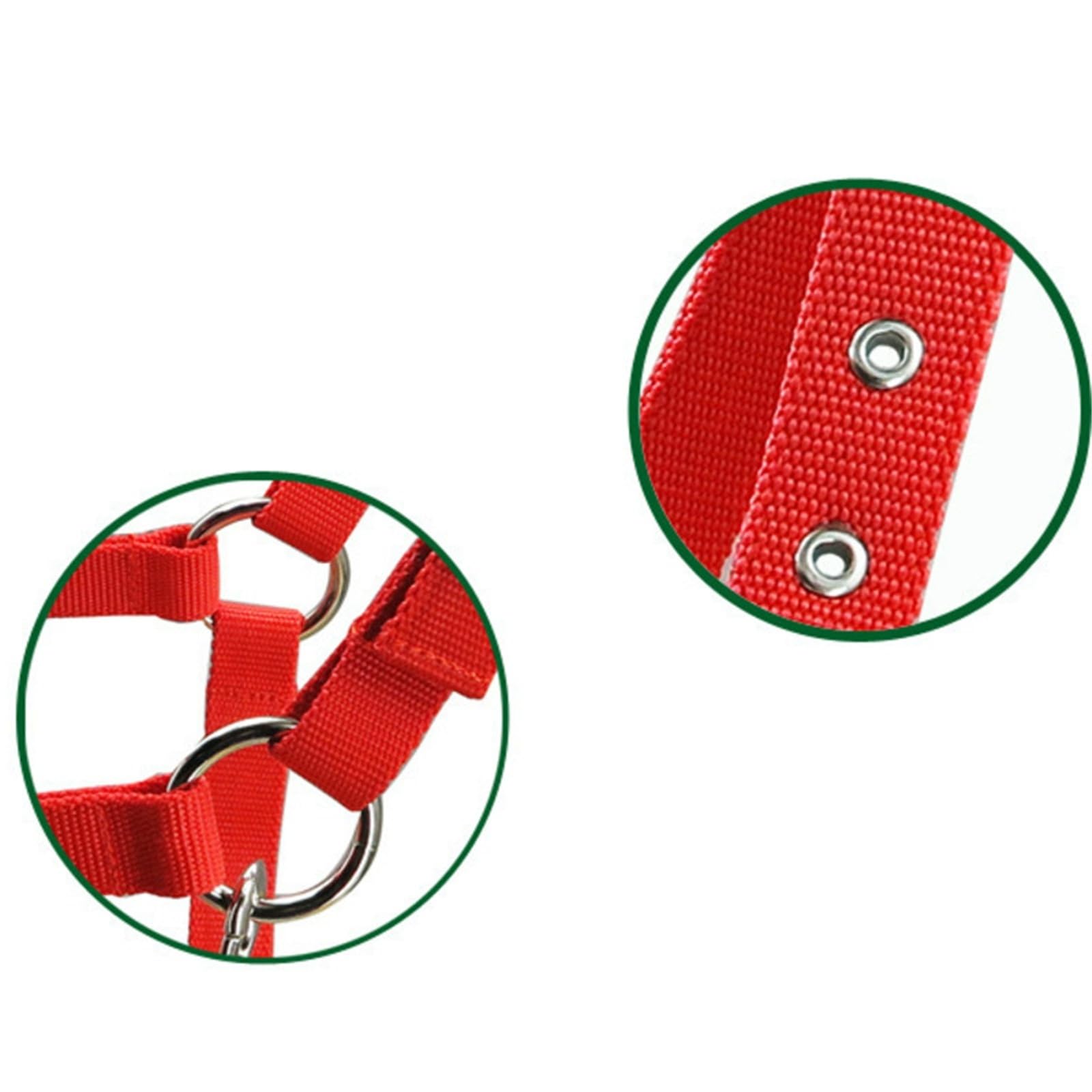 Halfter Für Pferde PP-Halter, verdickter Pferdekopfkragen, verstellbare REIT- und Rennausrüstung(Blue L)