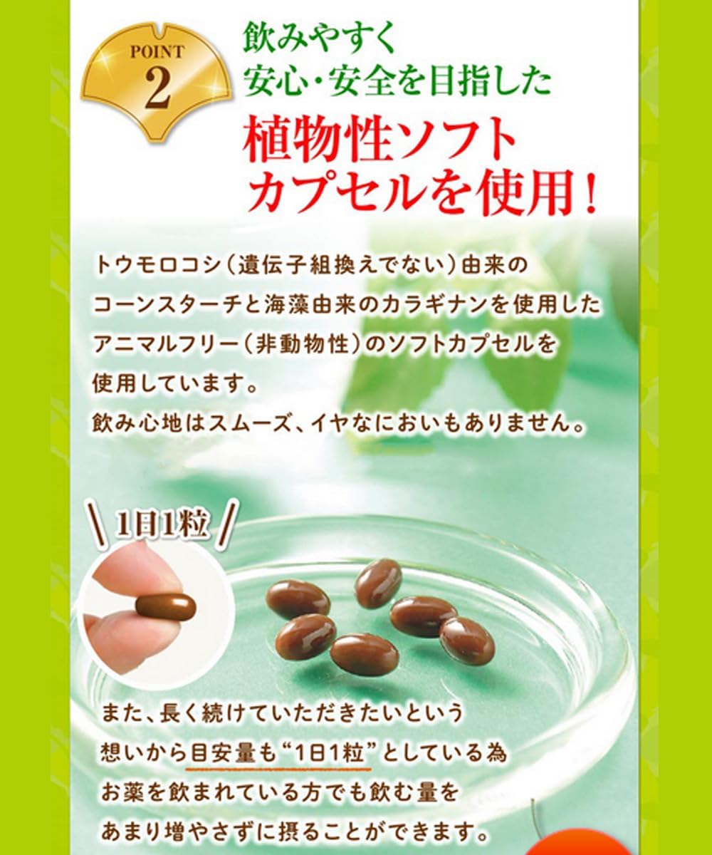 Amazon | 健康家族 イチョウリーフ 31粒入 機能性表示食品 イチョウ葉