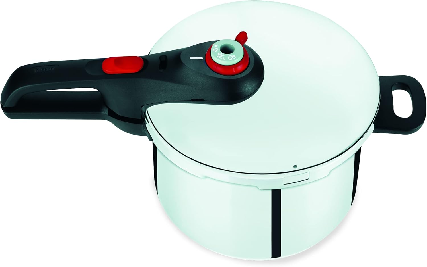 Tefal Fast & Easy Induction Stainless Steel Pressure Cooker 8L