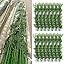70 Bamboos