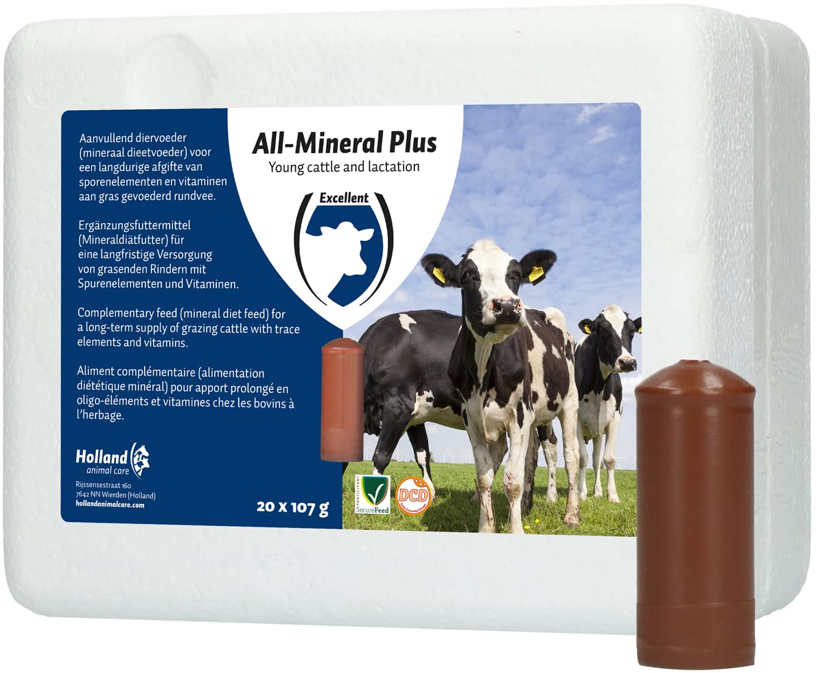 EXCELLENT Suministros Para El Cuidado De La Salud All-Minerall Plus