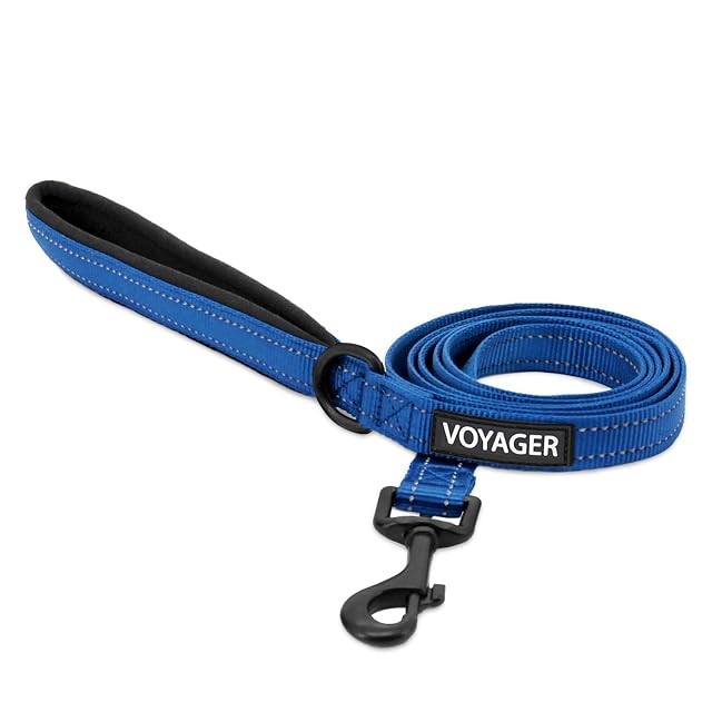 Voyager - Correa Reflectante para Perro con Mango de Neopreno, 6 pies de Largo, soporta Cachorros de Raza…