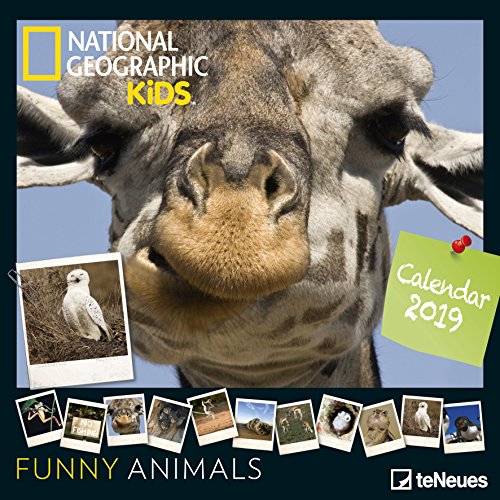 Stop basura: La verdad sobre reciclar Stop basura: La verdad sobre reciclar