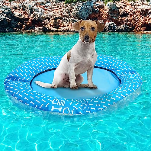All For Paws Dog Float For Pool No Need To Inflate Pool Float For Dogs Dog Float Raft Dog Swimming Float Non Inflatable Stay Dry Float For Small And Medium Dogs #TOP27