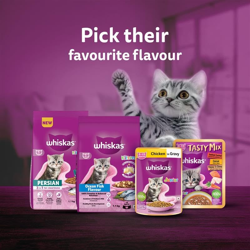 Whiskas Junior Mother Cat & Kitten (2-12 Months) Dry Cat Food, Ocean Fish Flavour, 1.1 kg, Contains 41 Essential Nutrients, Complete & Balanced Nutrition for Mother Cats & Kittens