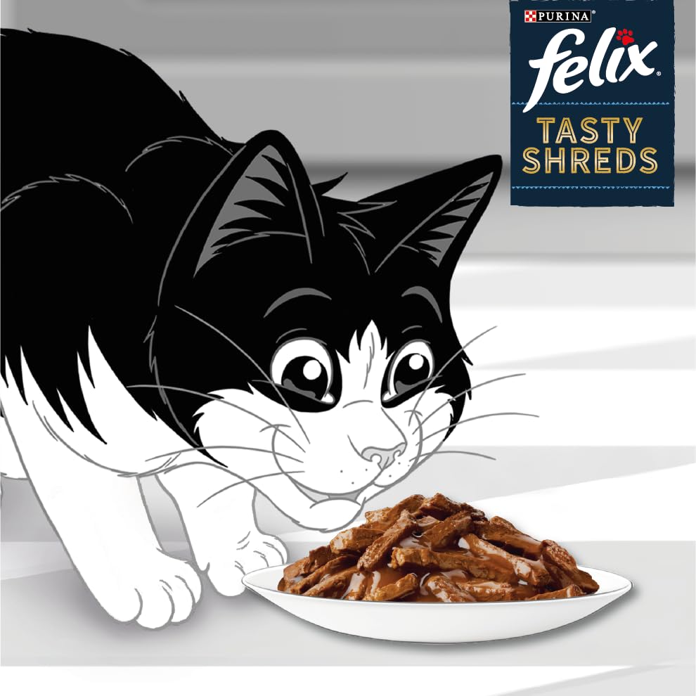 Felix Tasty Shreds Katzenfutter nass in Sauce, Gemischte Vielfalt, 4er Pack (4 x 20 Beutel à 80g)