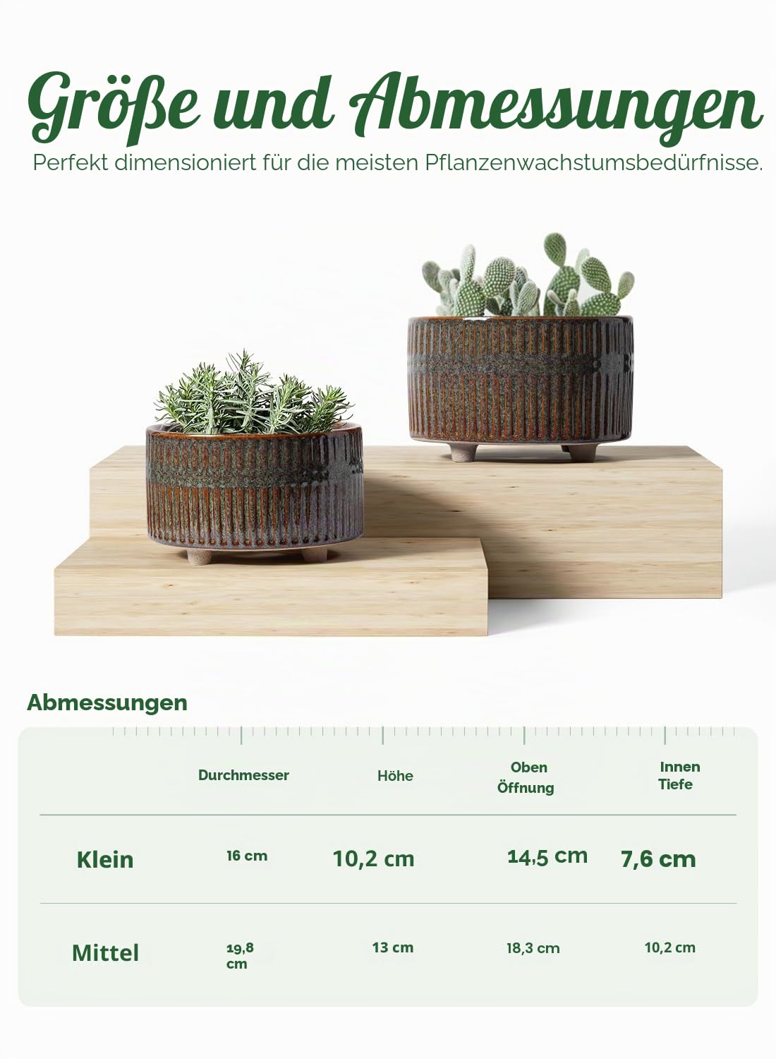 LE TAUCI Sukkulenten Topf, 16,5+20 cm Keramik Blumentopf für den Innenbereich mit Entwässerungslöchern, Moderner Zylindrischer Dekorativer Blumentopf, Geschenke für Mama, 2er-Set, Glasur Schwarz