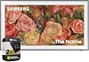Samsung (Reacondicionado QN55LS03DAFXZA de 55 pulgadas The Frame QLED 4K Smart TV 2024, paquete con protección mejorada CPS por 2 años (Renovado) 1