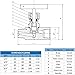 RFS Stainless Steel 316 Straight Needle Valve, 1