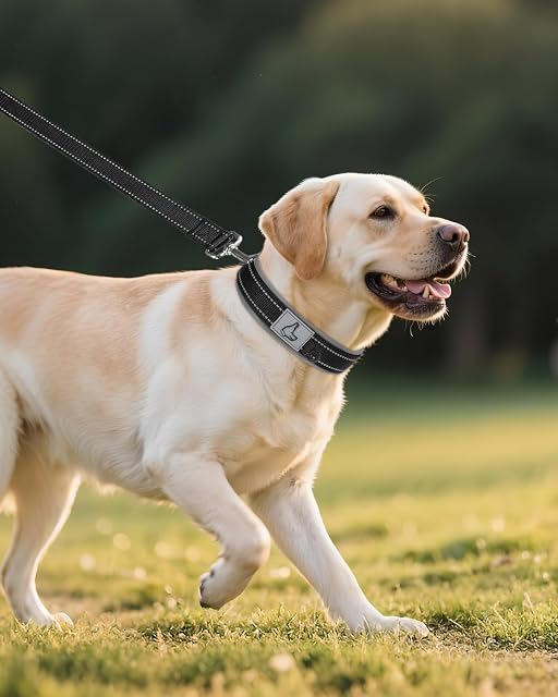 Foto 6 de 6 de Joytale Collar Perro Grande, Resistente y Reflectante, Ajustable de Acolchado Neopreno Nylon, Negro, L