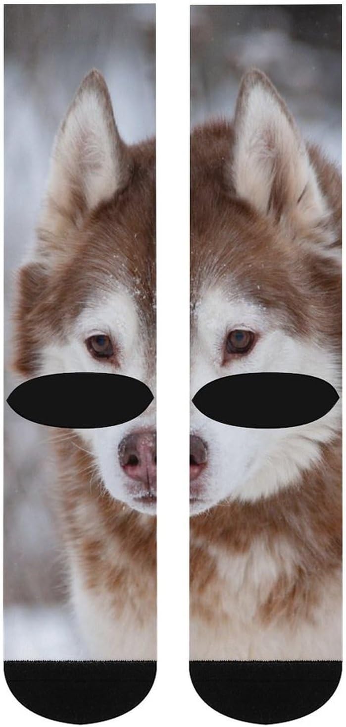 Siberian Husky Knee High Socks Athletic Long Stockings Sport Casual Crew Tube Sock Boot 46cm