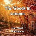 Cover of The Woods in Autumn
