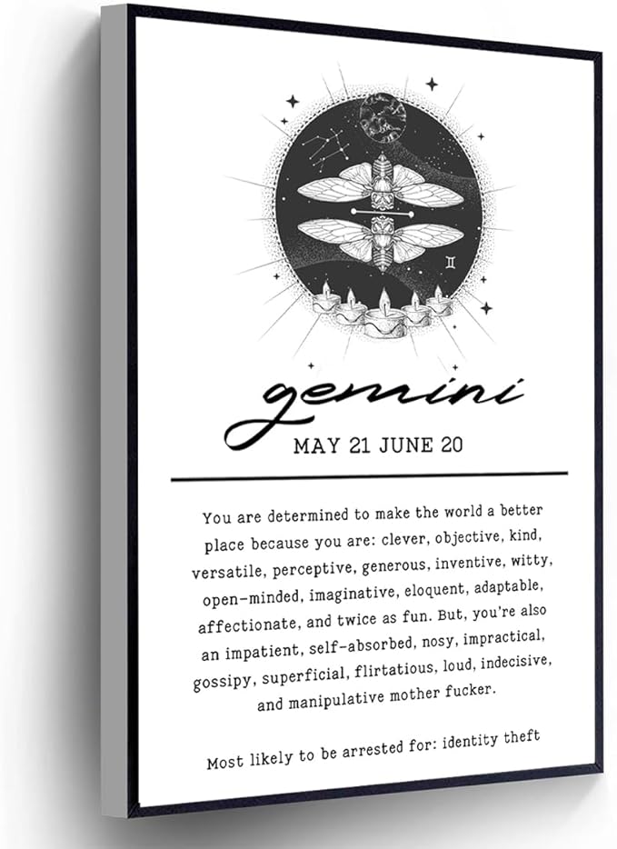 Funny Gemini Horoscope Canvas Sarcastic Motivational Quotes Poster 12 Zodiac Signs Wall Art Print For Living Room Bedroom Home Office Wall Decor(Stretched And Wood Framed 12 X 18)