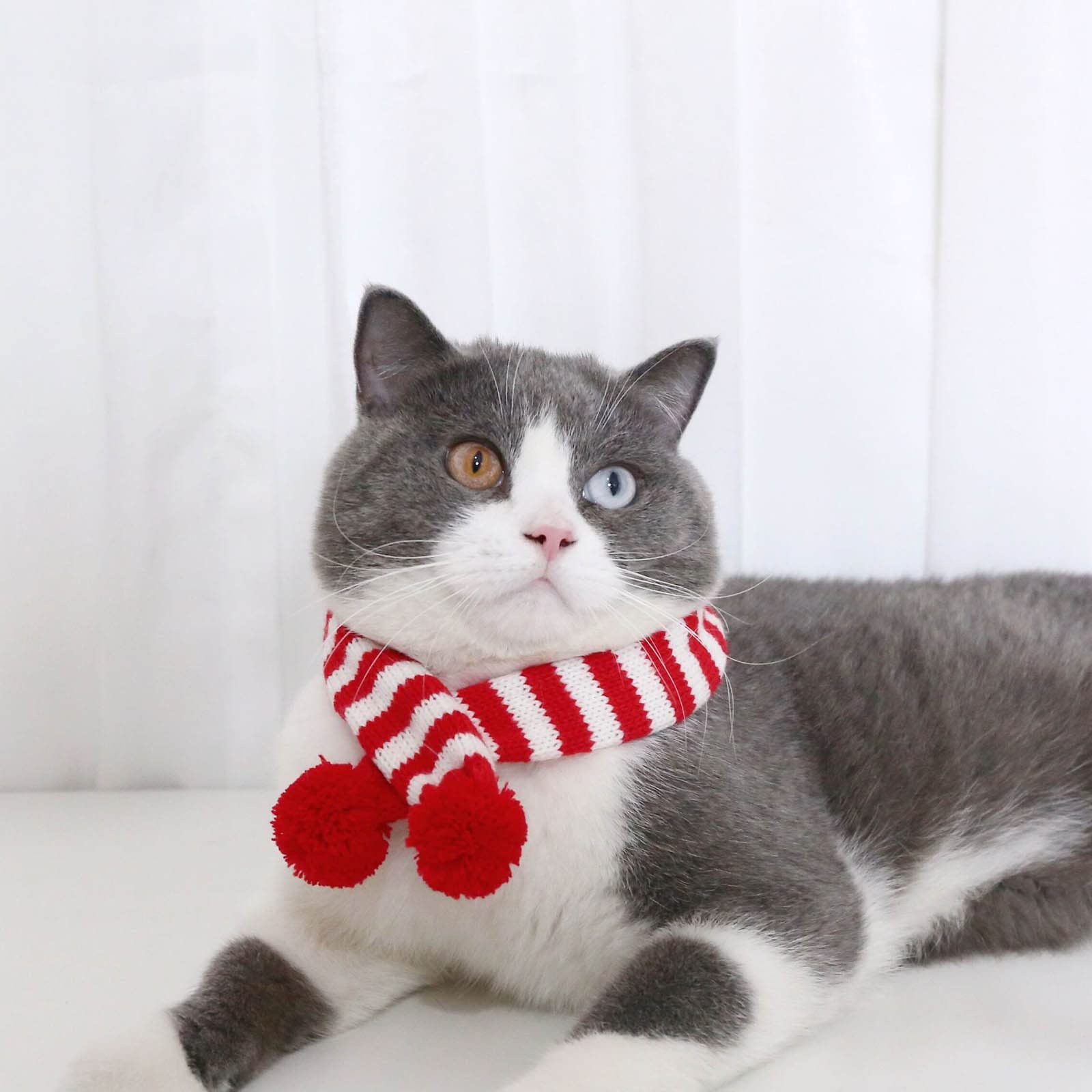 Écharpe De Noël Pour Chien Et Chat - Tricotée Rayures Rouge Et Vert, Chaude Et Décorative Pour Les Fêtes - 3