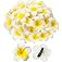 Crowye 100 Pcs White Foam Hawaiian Plumeria Flower Clips Bulk 3 Sizes Artificial Frangipani Petals Cap Wreath Floral DIY Craf