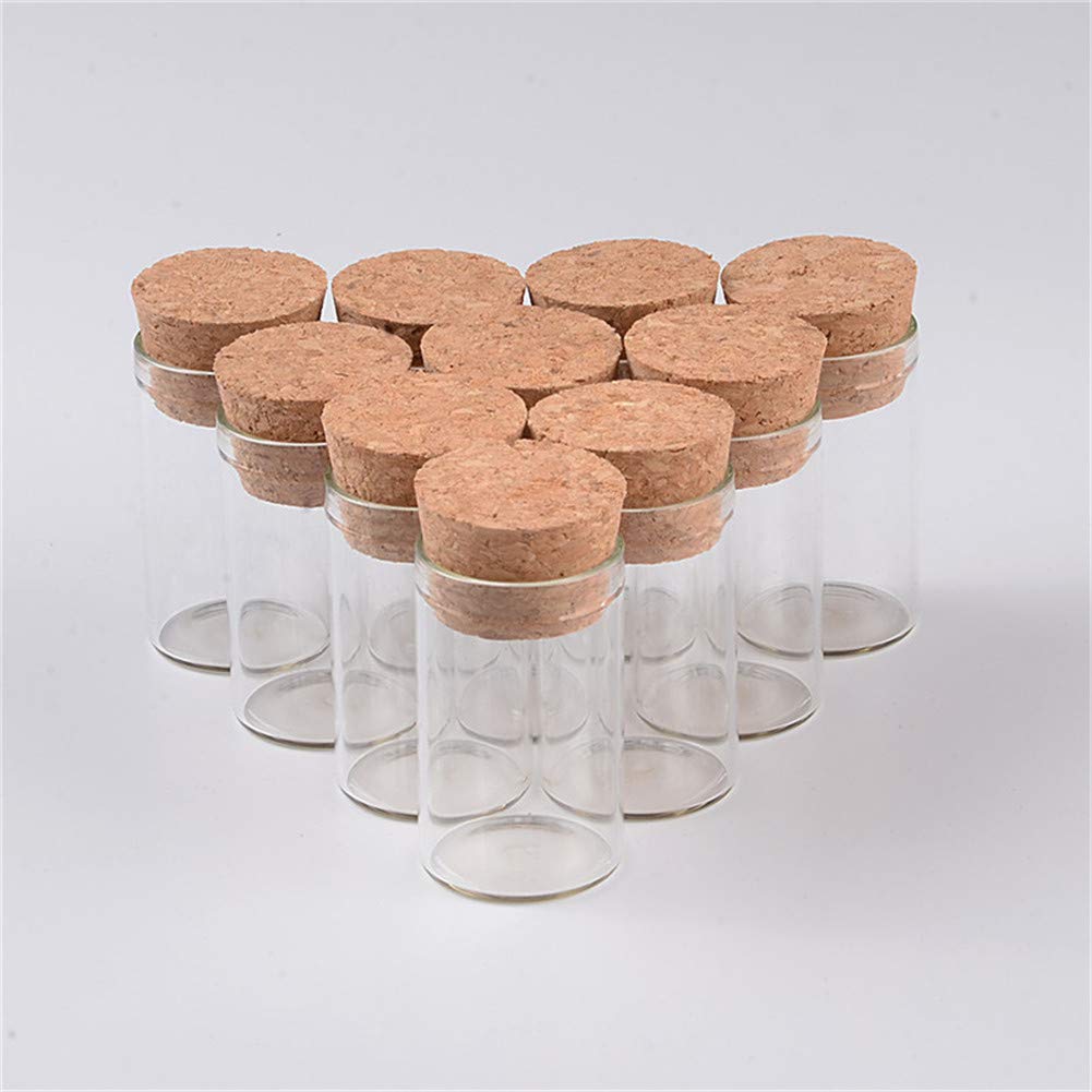 TAI DIAN 10ml Mini Glass Bottles Cork Empty Cute Transparent Glass Bottle Jars Vials 100pcs (100, 10ml-24 * 40 * 21mm)