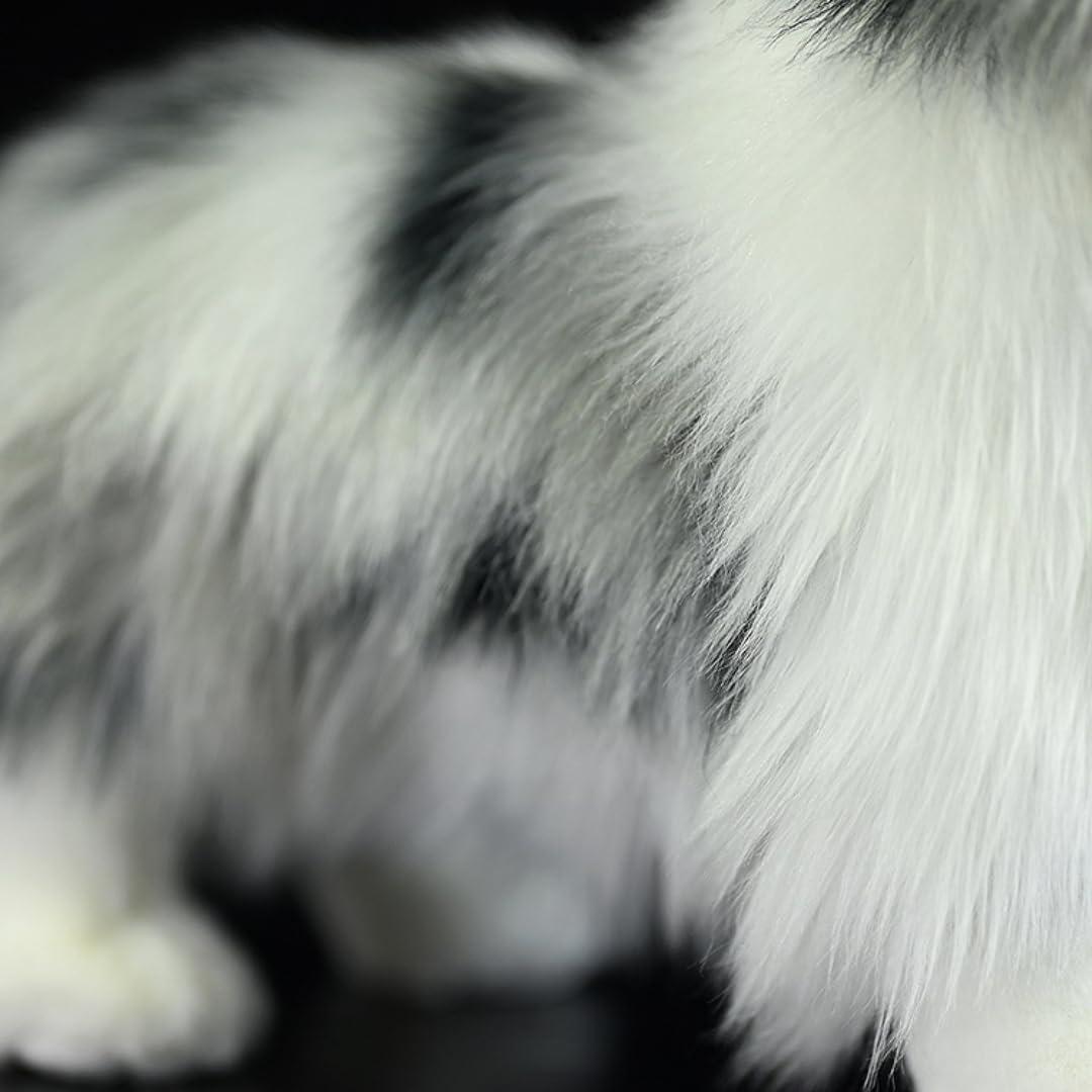 Realistic Meteorite Border Collie Plush - 11.4'' Border Collie Stuffed Animal - Plushy and Squishy Pillow Toy - Cute Dog Puppy Toys for Boys and Girls - Image 7