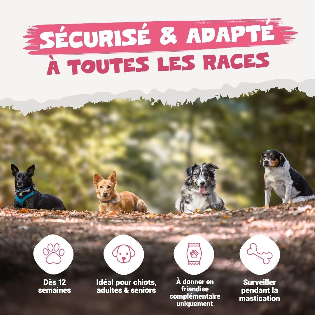 Pets Purest Oreilles de Lapin avec Fourrure pour Chiens, Chiots & Seniors - Friandise à Mâcher 100% Naturelles, Séchées à l'Air, pour Les Aliments Crus et Les Régimes Hypoallergéniques sans Céréales.