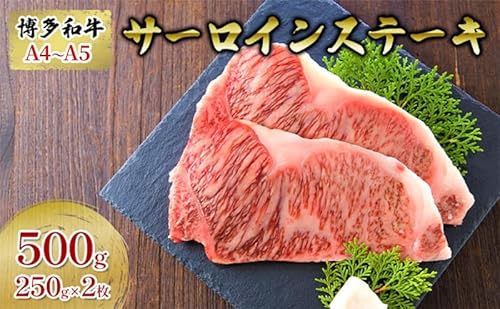 牛肉 サーロインステーキ 合計500g 博多和牛 A4〜A5 250g×2枚 セット 配送不可:離島