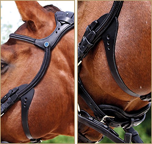 Foto von Stübben Trensenzaum 2500 Freedom - schwarz/schwarz - Warmblut (WB) - kombiniertes Reithalter