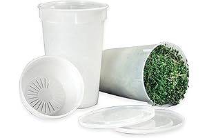 Todd's Seeds Easy Sprout Kit