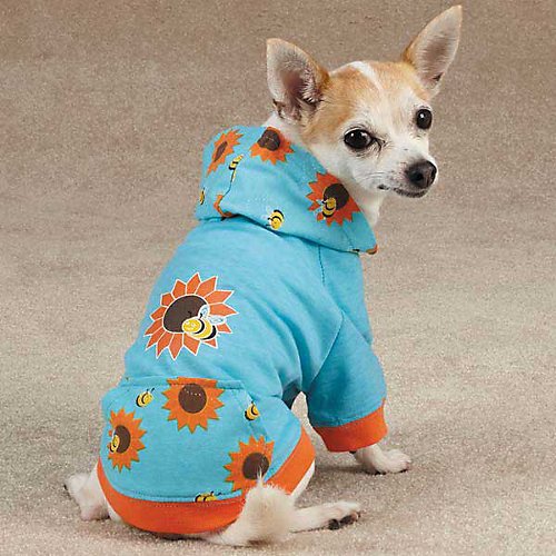 Amazon.com : Zack & Zoey Flutter Bugs Dog Pullover, XX-Small, Lady