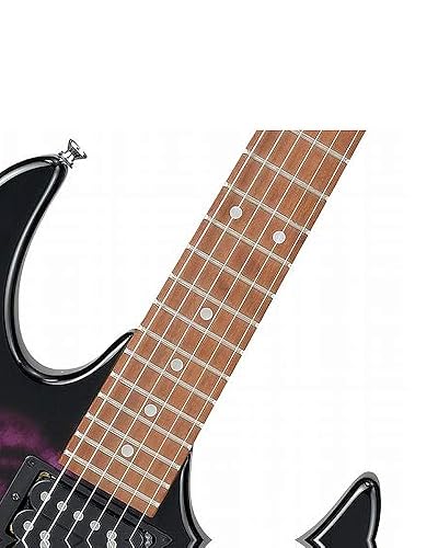 Amazon.com: Ibanez Gio GRX70QA - Transparent Violet Sunburst
