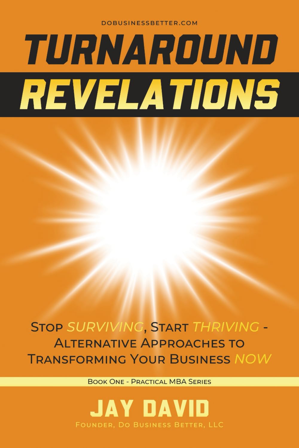 TURNAROUND REVELATIONS: Stop Surviving, Start Thriving - Alternative Approaches to Transforming Your Business NOW