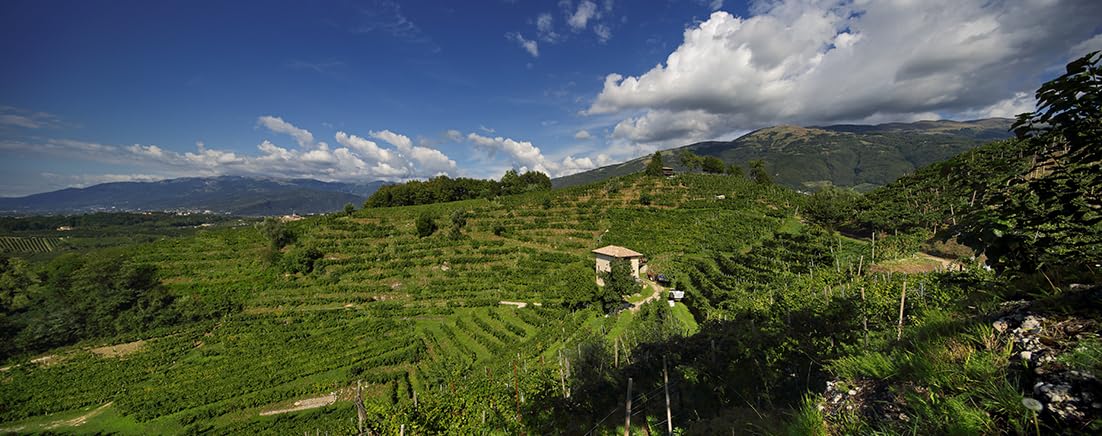 Adami Dei Casel - Valdobbiadene Prosecco Superiore Docg Extra Dry - Elegante e Raffinato – 11% vol. 0,75l - 3 bottiglie