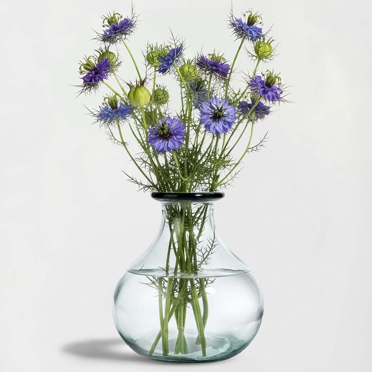 Couronne Company Gourde Recycled Glass Vase, G5492, 8.25 Inch Tall, 101.4 Ounce Capacity, Clear, 1 Piece