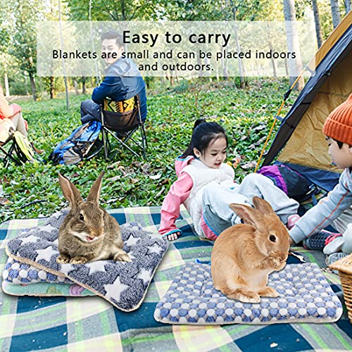 G Yiteng 3 Pc Small Animal Plush Bed Mat,Warm Fluffy Kitten Puppy Blanket,Fleece Sleep Pad For Ferrets Hamster, Rabbit Bed Guinea Pig Bed (Large:19 X 12In, Set-G) #TOP3