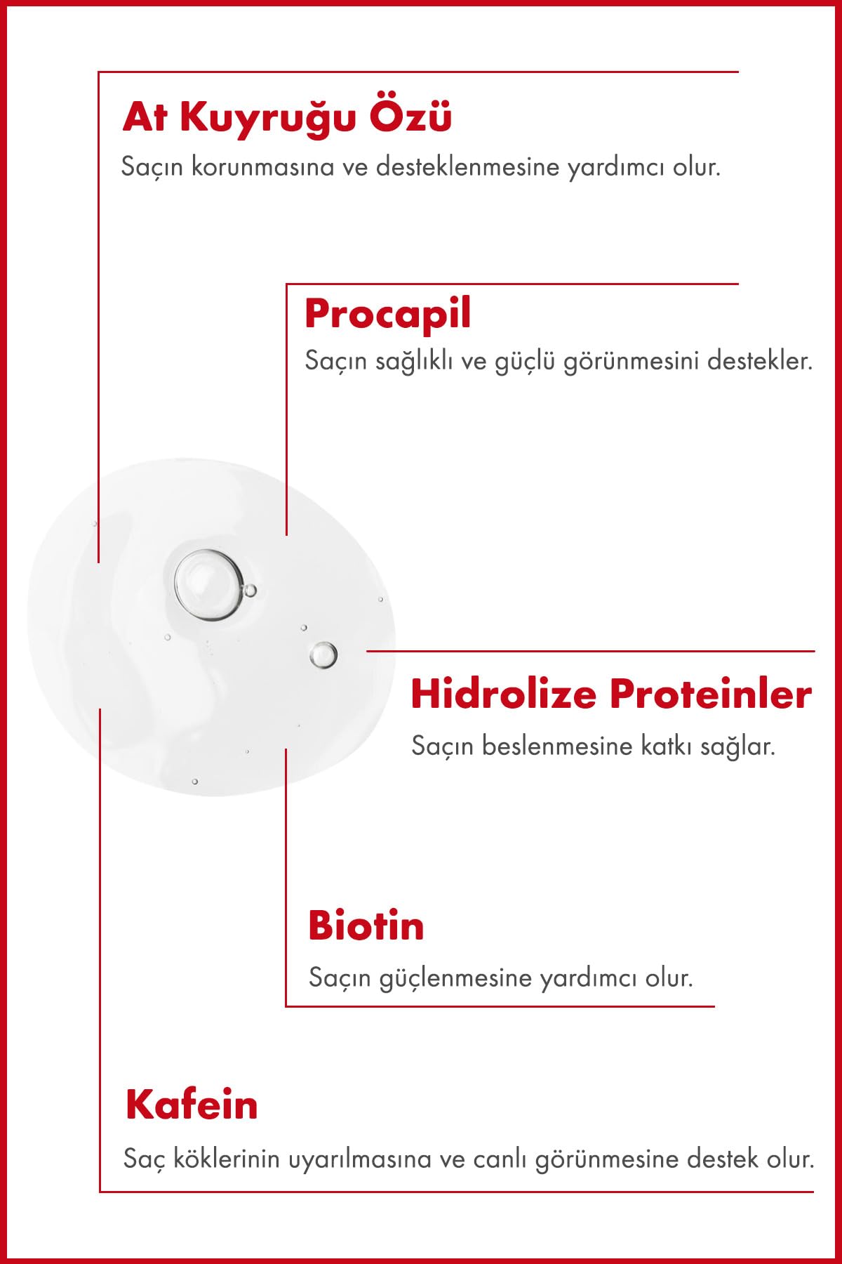 Seyahat Boy - Biotin & Kafein Dökülme Karşıtı Saç Toniği 100 ML | Vegan