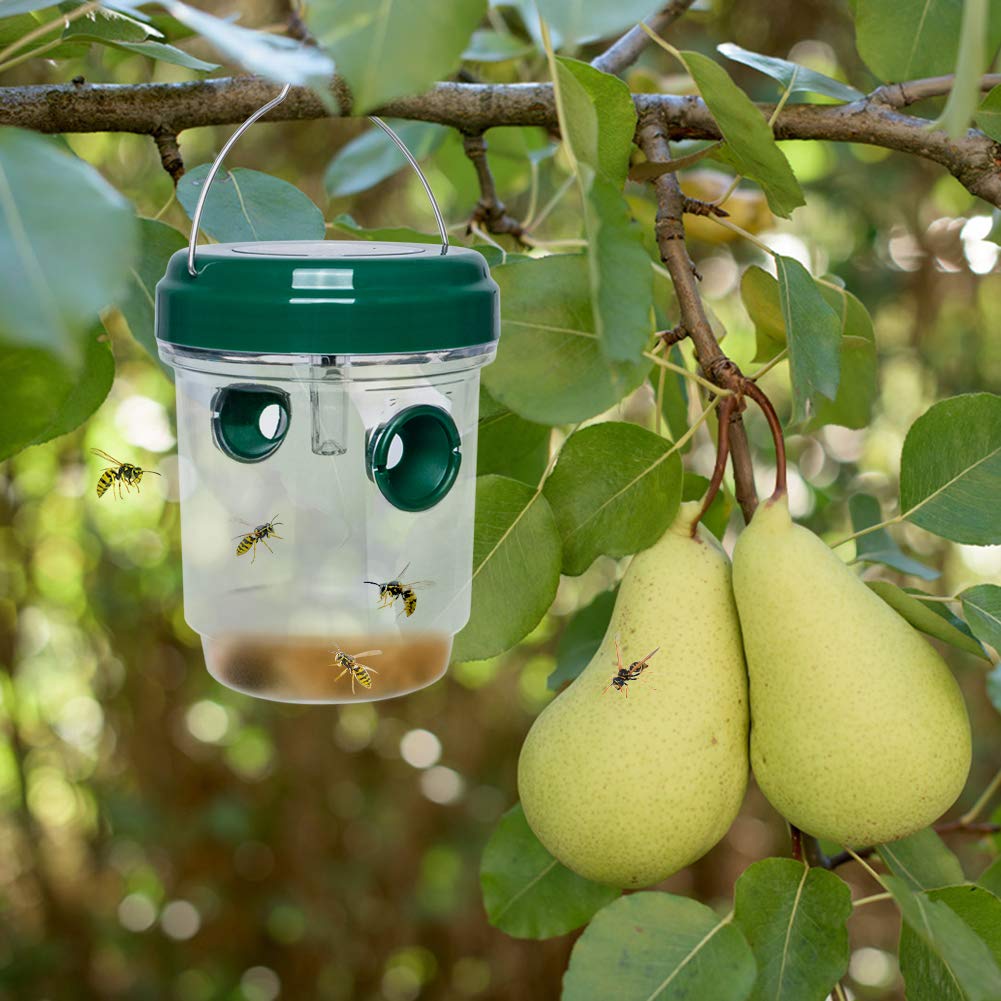 2 Pack Wasp Traps Outdoor, Wa...B09B7FPBF3