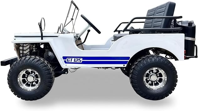SYX MOTO 125cc Go Kart 4-Wheeler, 3-Speed Manual Transmission, 2 Seat, Electric/Kick Start, 35 MPH Top Speed for Teens & Adults, Maximum Load 300 Lb, with Spare Fuel Tank and Spare Tire (White Blue)