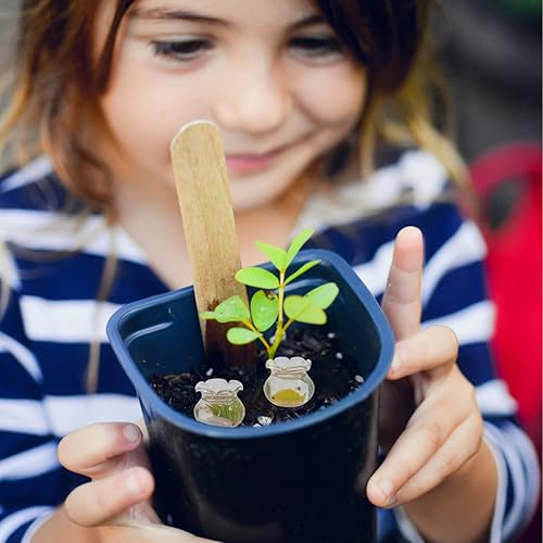 Miniatura 8 de Kisangel 2pcs Dollhouse Fish Tank Miniature Fish Bowl 1 12 cuencos de cristal Goldfish para casa pequeña accesorios decorativos