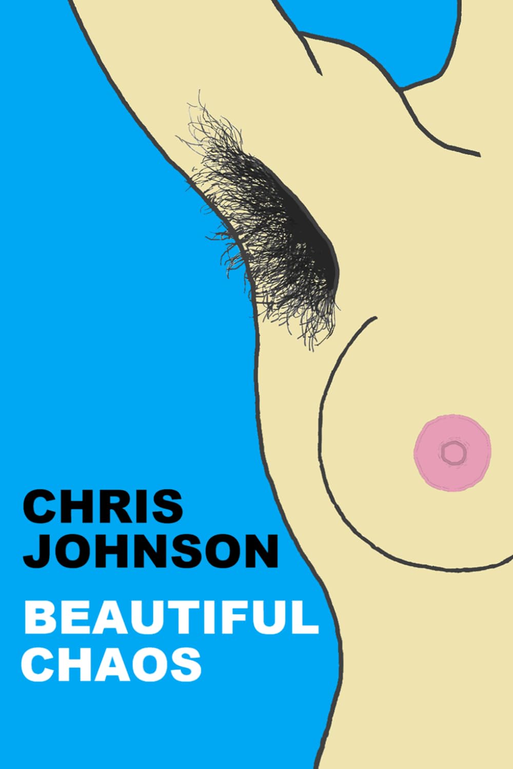 Beautiful Chaos: (new slightly illustrated edition)