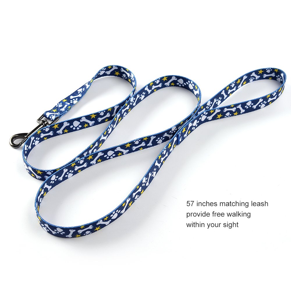Ihoming Dog Collar and Leash Set for Daily Outdoor Walking Running Training, Bone Design for Small Boys Girls Dogs Cats Pets, S-Up to 20LBS