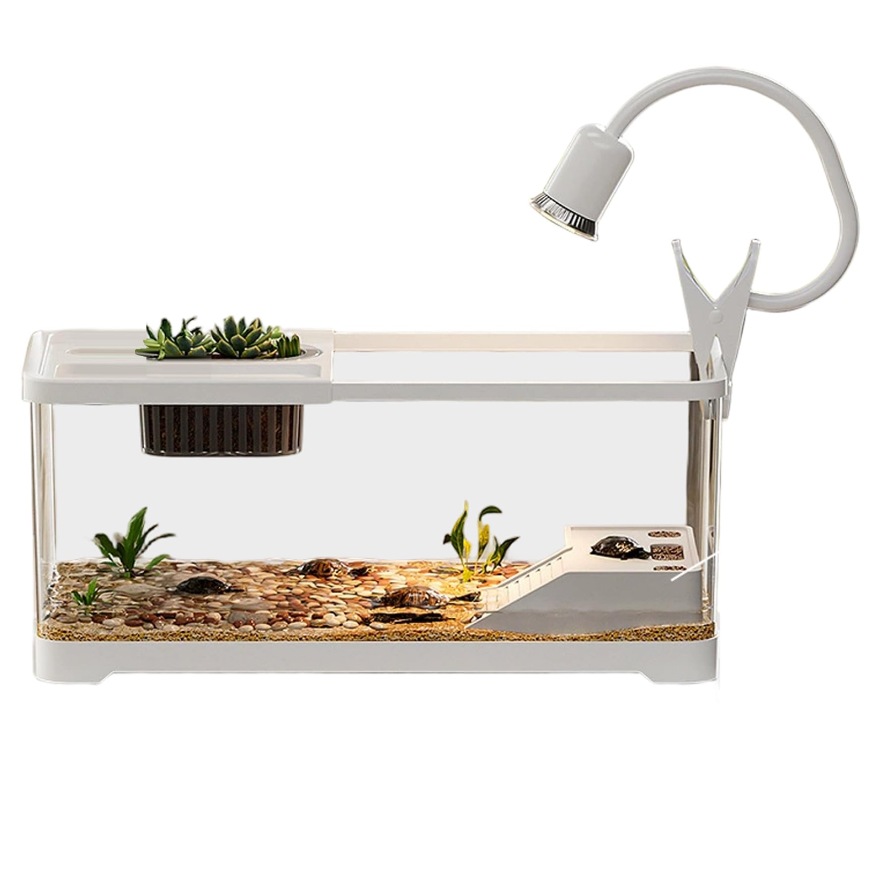 Aquarium-Set für Schildkrötenbecken, 15 x 8 x 8 cm, durchsichtiger Kunststoff, mit Kletterlicht