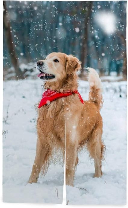 Amazon 旅人 のれん 犬柄 ゴールデンレトリバー 雪 おしゃれ 暖簾 目隠し 遮光 間仕切りカーテン 玄関 キッチン リビング 店 出入り口 86 143cm のれん オンライン通販