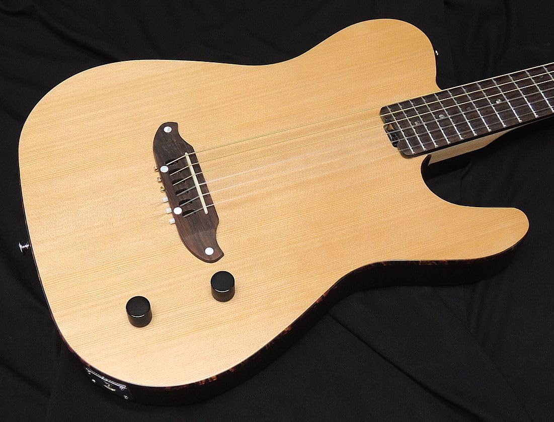 Amazon | SCHECTER OL-FL-N-2 SNTL ナイロン弦 シェクター 薄胴