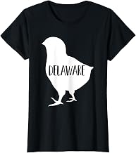Home State Girls Women Delaware Chick Funny T-Shirt