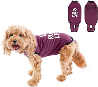 BellyGuard - After Surgery Dog Recovery Onesie, Post Spay, Neuter, Body Suit for Male and Female Dogs, Comfortable Cone Alternative for Large and Small Dogs, Soft Cotton Covers Wound, Stitches, Small