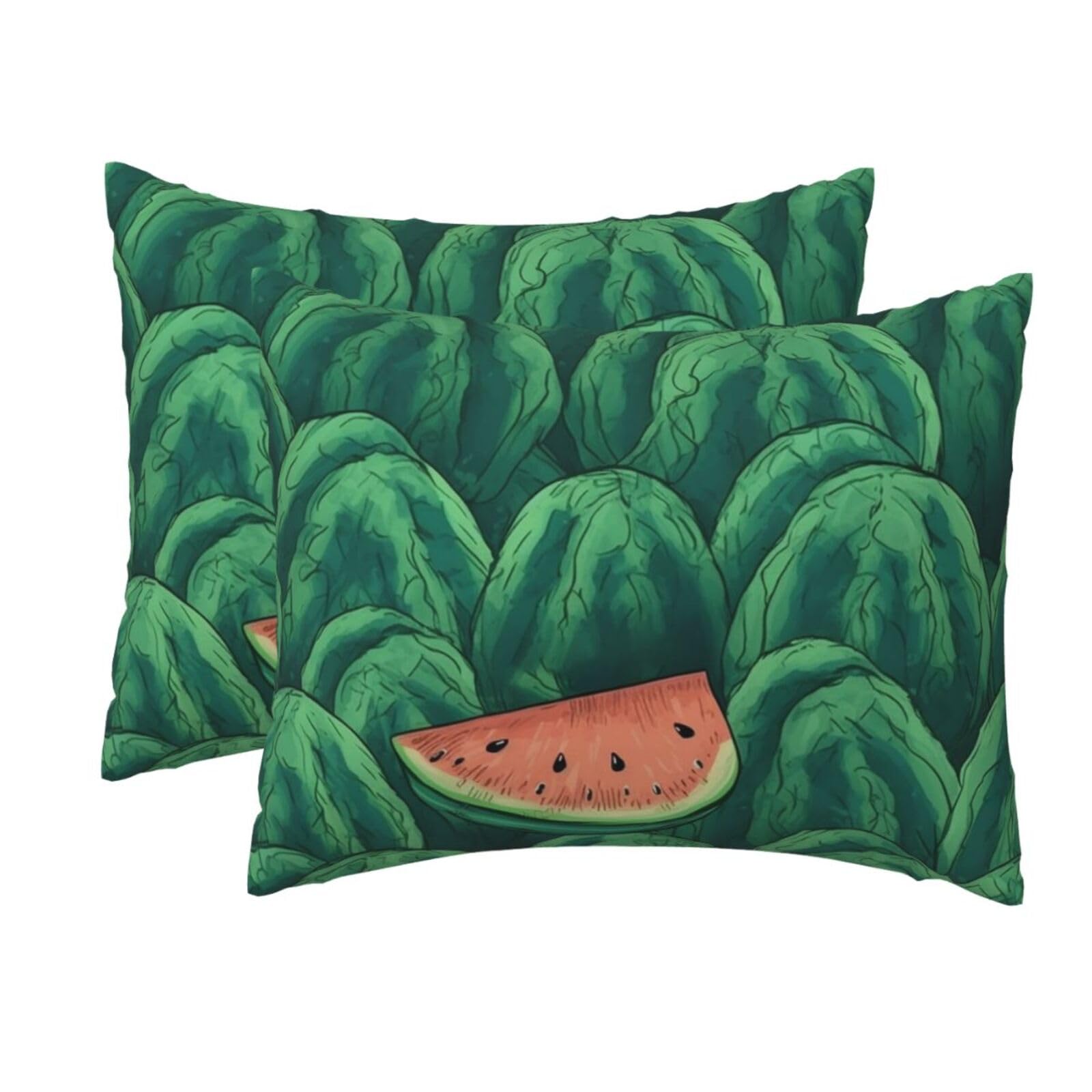 2 Pack Standard Size Pillow Cases for Hair and Skin Soft Breathable Pillow Case Covers with Hidden Zipper Green Watermelon Pattern Pillowcase 20x26 Inches Pillow Cover for Sleeping Gift